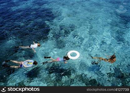 Four people scuba diving, St. Croix, Virgin Islands