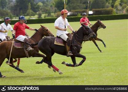 Four polo players playing polo