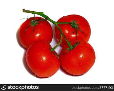 Four red tomatoes on a branch