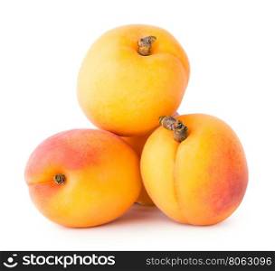 Four ripe apricots isolated on white background. Four ripe apricots