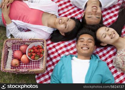 Four smiling young friends with heads touching and lying on their backs having a picnic in the park