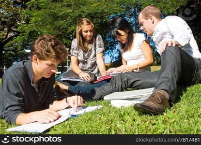 Four university students comparing their notes from college, sitting in the park on a beautiful day