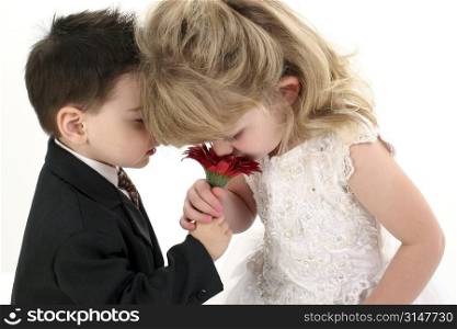Four year old girl and two year old boy in formal dress and suit smelling flower together. Shot in studio over white
