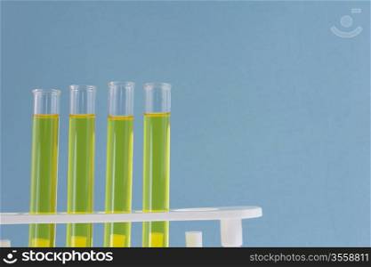 Four yellow liquid filled test tubes on a soft blue background