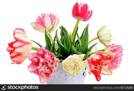 Fowers tulips in decorative bucket isolated on white background.