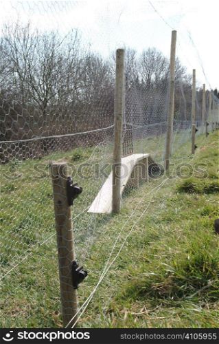 Fox proof re entry funnel for a pheasant pen