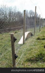 Fox proof re entry funnel for a pheasant pen