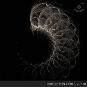 Fractal abstraction on a black background, like a shell, similar to the spine. Fractal abstraction shell