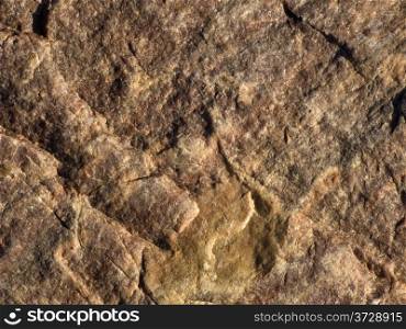 Fragment of brown stone background texture