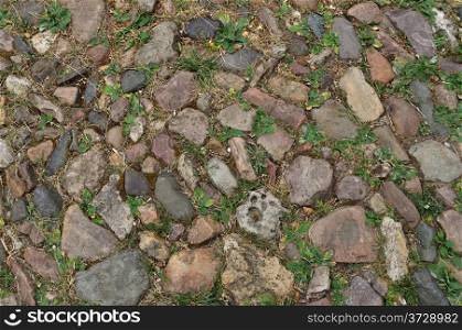 Fragment of old rough cobblestone pavement surface with green grass
