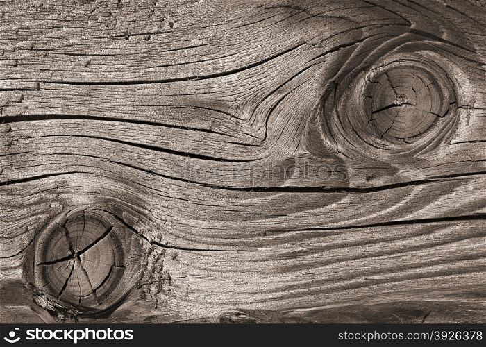 Fragment of old wooden weathered board with annual rings, cracked and faded gray surface as a texture, close up