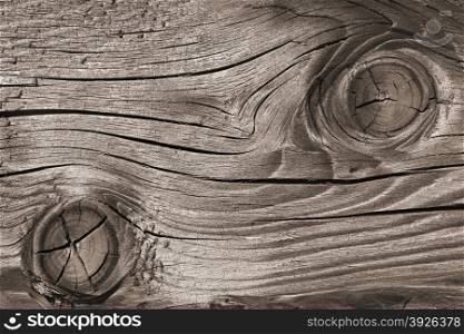 Fragment of old wooden weathered board with annual rings, cracked and faded gray surface as a texture, close up