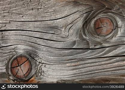 Fragment of old wooden weathered board with annual rings, cracked and faded surface, close up