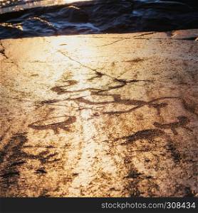 Fragment of Onega petroglyphs at sunset - prehistoric rock engravings carved on a granite plate . Age of object - 5000-6000 years. Cape Besov Nos, Karelia, Russia.. Petroglyphs At Sunset