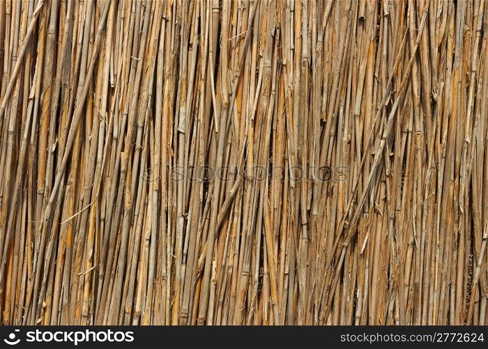 Fragment of reed fence as a texture