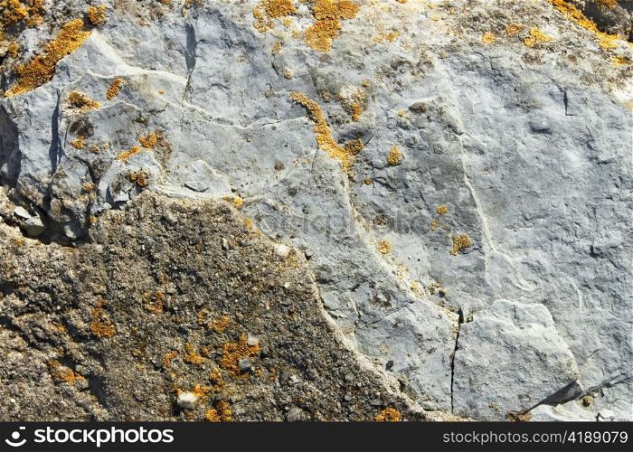 Fragment of stone boulders partially covered with tiny yellow lichens. Close-up