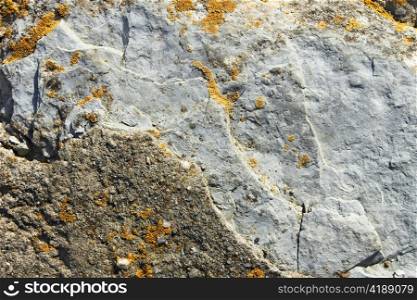 Fragment of stone boulders partially covered with tiny yellow lichens. Close-up