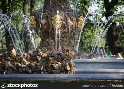 fragment of the fountain in the summer garden of St. Petersburg. fragment of the fountain