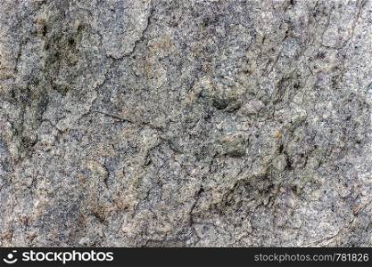 Fragment of the surface of an old gray rock or stone, natural abstract background. Seamless texture.
