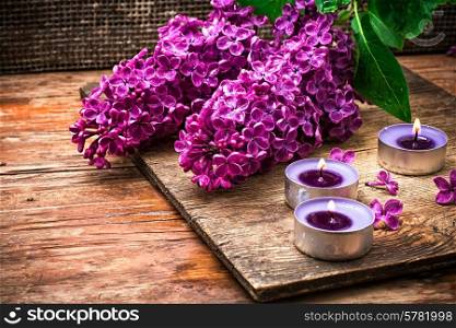 fragrant bush may lilac on background of scissors on wooden table. Bush may lilac and lighted candle