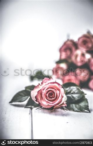 Fragrant flowers on white wooden background moody