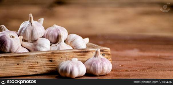 Fragrant garlic on a wooden tray. On a wooden background. High quality photo. Fragrant garlic on a wooden tray.