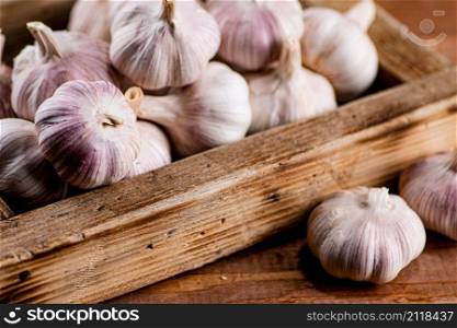 Fragrant garlic on a wooden tray. On a wooden background. High quality photo. Fragrant garlic on a wooden tray.
