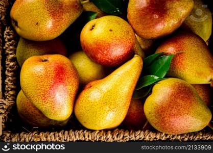 Fragrant pears. Macro background. Pear texture. High quality photo. Fragrant pears. Macro background. Pear texture.