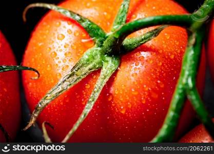 Fragrant ripe tomatoes with drops of water. Macro background. High quality photo. Fragrant ripe tomatoes with drops of water.