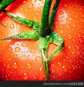 Fragrant ripe tomatoes with drops of water. Macro background. High quality photo. Fragrant ripe tomatoes with drops of water.