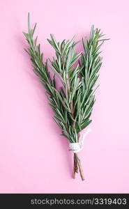 Fragrant rosemary herbs isolated on white