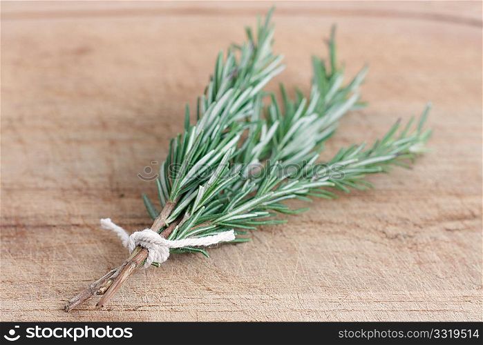 Fragrant rosemary herbs isolated on white