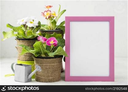 frame beside flowers pots
