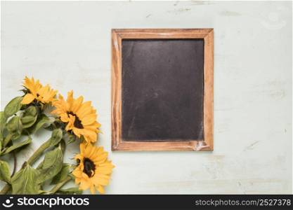 frame blackboard with sunflowers