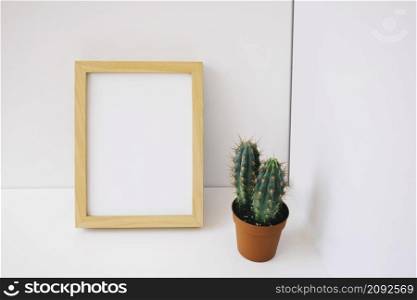 frame cactus