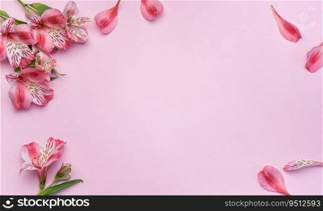 Frame for the text of congratulations with  flowers of Alstroemeria on a pink background. Greeting card with natural colors. Background for text with alstromeria. Flat lay, top view.