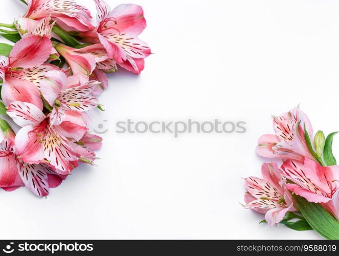Frame for the text of congratulations with  flowers of Alstroemeria on a white background. Greeting card with natural colors. Background for text with alstromeria. Flat lay, top view.