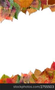 Frame from autumn leaves. Decorative registration isolated on a white background