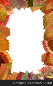Frame from autumn leaves. Decorative registration isolated on a white background