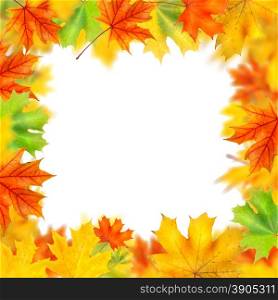 frame from autumn leaves isolated on white