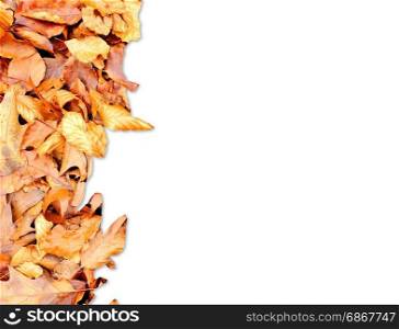Frame from autumn leaves on the left side isolated on white.