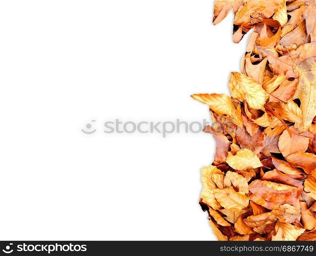 Frame from autumn leaves on the right side isolated on white.