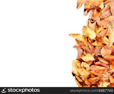 Frame from autumn leaves on the right side isolated on white.