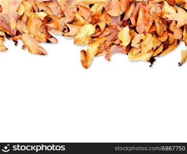 Frame from autumn leaves on the top side isolated on white.