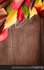 Frame from autumn leaves on the wooden background