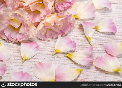 Frame from flowers on aged wooden background. Selective focus. Place for text.