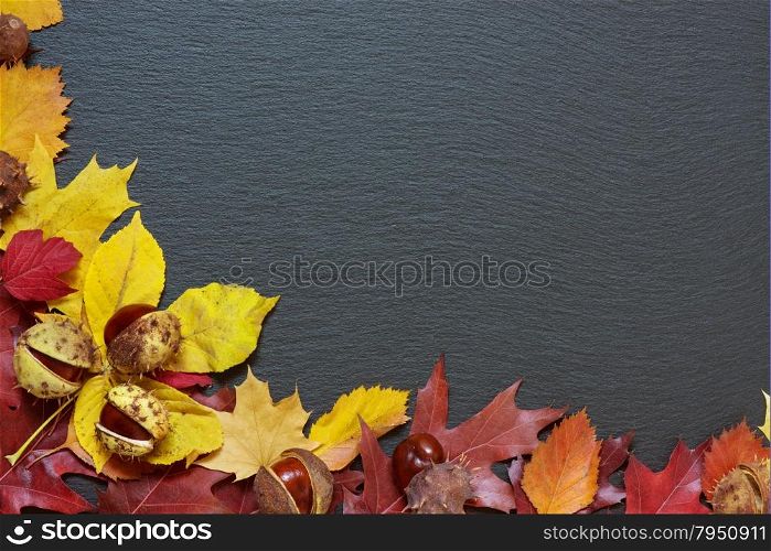 Frame from multi-colored autumn leaves on a background of black stone