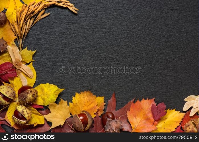 Frame from multi-colored autumn leaves on a background of black stone