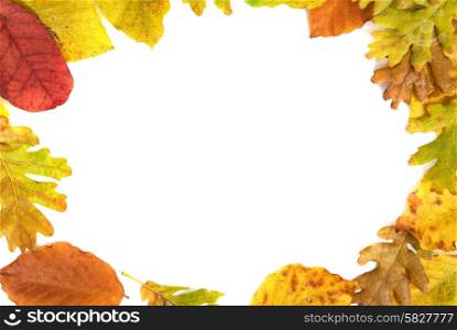 Frame from the autumn leaves isolated on white background