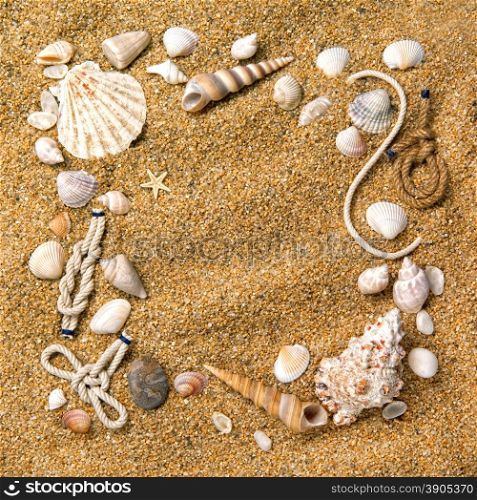 frame from various shells on sand